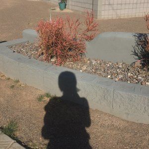 Meet your Posher, Carolyn